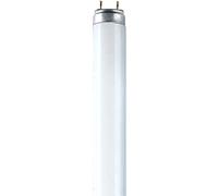 OSRAM LUMILUX® T8 1 m 36 W/840-1 - Lampes fluorescentes, socle G13