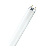 OSRAM LUMILUX T8, 36W, L 36W/865 6500K, 1200mm
