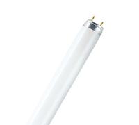 Osram LUMILUX T8 ampoule fluorescente 36 W G13 Blanc froid
