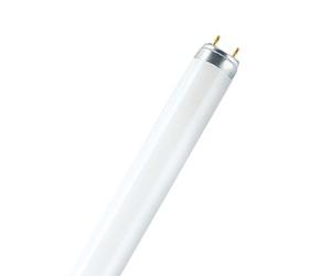 Osram LUMILUX T8 ampoule fluorescente 36 W G13 Blanc froid