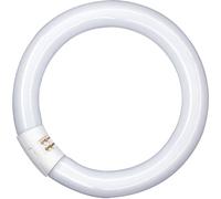 OSRAM LUMILUX® T9 C 32 W/827 G10Q - Lampes fluorescentes, socle spécial