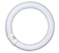 Osram Lumilux T9 C Lampe Fluorescente 22 W 1250 lm G10Q 4000 K