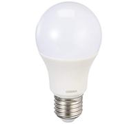 Ledvance ampoule LED E27 A55