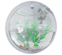 Otbushit Aquarium Mural en Acrylique Transparent de 9 Pouces, Aquarium Mural hydroponique, Mini créatif pour Petites Plantes succulentes Betta