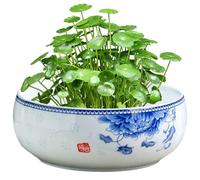 Otbushit Jardinières Pot de Fleurs en Forme de Bol Lotus, jardinière hydroponique en céramique avec Support en Bois pour la Plantation et Le Stockage en intérieur Cactus nénuphar
