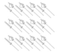 OTOTEC Lot de 100 Rivets à Tête Large Et Explosante à Trois Volets Rivets à Tête Plate pour Châssis Armoire Panneau Métallique Portes Et Fenêtres Véhicules 4 X 25 Mm