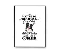 Otshirt Poster Border Collie Formidable | Affiche Papier Photo 310 g Finition Perlée Format Taille A3 | Déco Murale Salon Chambre | Idée Cadeau Crémaillère