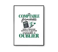 Otshirt Poster Comptable Formidable | Affiche Papier Photo 310 g Finition Perlée Format Taille A4 | Déco Murale Salon Chambre | Idée Cadeau Crémaillère