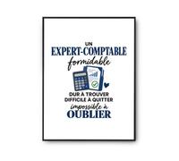 Otshirt Poster Expert Comptable Formidable | Affiche Papier Photo 310 g Finition Perlée Format Taille A3 | Déco Murale Salon Chambre | Idée Cadeau Crémaillère
