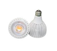 OUHFCASN Ampoule LED E27/E26/G12 à intensité variable PAR30 30 W 15 ° 24 ° 36 ° 3000 K 4000 K 6000 K pour atelier de magasin à grande hauteur(Warm white 3000K,E27)