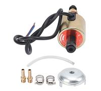 Oumefar Rectifieuse en Acier Inoxydable Pompe à électromagnétique AC220V , Adaptée aux Petites Machines de Traitement , Faible Perte de Puissance