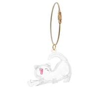 OUNONA Porte-clés Boîte de Rangement Commémorative Créative et Polyvalente en Abs Capsule Transparent pour Poils de Chat Propriétaires D’Animaux en Voyage