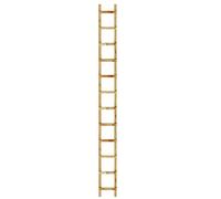 Outifrance 8833030 Echelle de toit en Bois 3,00 m/12 échelons entraxe 25 cm