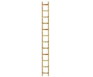 Outifrance 8833030 Echelle de toit en Bois 3,00 m/12 échelons entraxe 25 cm