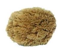 Outifrance - Eponge végétale naturelle 15 cm G
