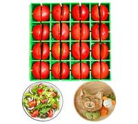 Outil de coupe de raisin, outil de trancheuse de tomate cerise, outil de cuisine portable multifonctionnel pour trancher uniforme, raisin, cerise, tomate, myrtille, trancheuse facile à trancher les