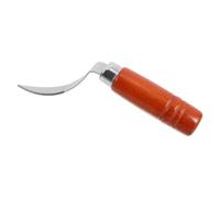 Outil Inox pour Retirer la Chair de Noix Tropicale, Manche Bois | Lame Courbée à Effet Levier, Extraction Facile, Ustensile de Cuisine pour Jeunes Fruits, Vendeurs Ambulants et Cuisiniers