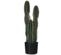 Outsunny Cactus Artificiel Grand Réalisme Grande Taille Ø 17 x 60H cm Vert