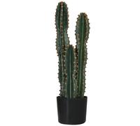 Outsunny Cactus artificiel grand réalisme plante artificielle grande taille dim. Ø 17 x 60H cm vert