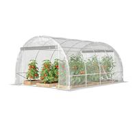 Outsunny Serre tunnel 3x4x2 m avec portes enroulables, châssis en acier et couverture en PE anti-UV, transparent
