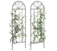 Outsunny Treillis de Jardin Lot de 2 Support pour Plantes grimpantes en métal - 51 x 152 cm Noir