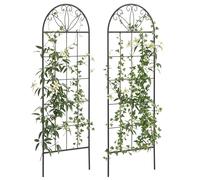 Outsunny Treillis de jardin lot de 2 support pour plantes grimpantes en métal - 51 x 152 cm noir Aosom France