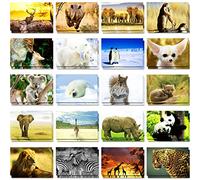 Outus Lot de 60 cartes postales vierges d'animaux sauvages pour envoi de pandas, lions, ours polaires, pingouins, éléphants, girafes, cartes postales de bienvenue pour enfants et enseignants, 10,2 x