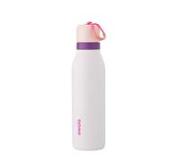 Owala FreeSip Twist Gourde isotherme en inox avec paille et couvercle, 532 ml - sans BPA, conserve le froid ou la chaleur pendant une longue durée pour le sport et les voyages, Dreamy Field
