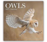 Owls - Eulen 2027 - 16-Monatskalender: Original Gifted Stationery-Kalender [Mehrsprachig] [Kalender]