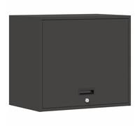Owoxanthellate Armoire de garage murale en acier avec vérin à gaz 60 x 40 x 53 cm Armoire suspendue verrouillable pour atelier et cave, design industriel, noir