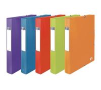 Oxford Boîte Capacité Standard School Life 24x32cm Dos 40mm avec Elastique Couverture Polypro Coloris Toniques