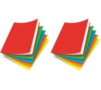 Oxford Lot de 100 Sous-Chemises 22 x 31 cm Papier 80 g Coloris Assortis