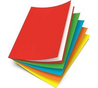 Oxford Lot de 50 Sous-Chemises 22 x 31 cm Papier 80 g Coloris Assortis