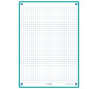 Oxford Révision 2.0 Lot de 50 Fiches bristol format A5 (14, 8 x 21cm) petits carreaux Recto/Verso - cadre Vert Menthe