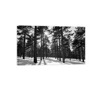OZPWBVY Hiver Arbre Noir Blanc Paysage Tableau Toile Salon 40x70cm Encadrée