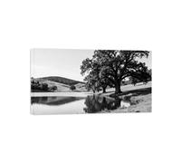OZPWBVY Lac Arbre 2 Noir Blanc Paysage Tableau Toile Salon 20x35cm Encadrée
