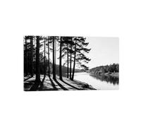 OZPWBVY Lac Arbre 5 Noir Blanc Paysage Tableau Toile Salon 50x85cm Encadrée