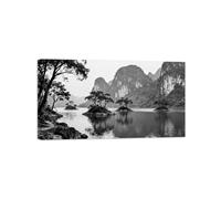 OZPWBVY Lac Arbre 7 Noir Blanc Paysage Tableau Toile Salon 30x55cm Encadrée