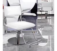 PA-DABAOO Fauteuil De Coiffure Pour Salon De Coiffure, Siège Large, Pompe Hydraulique, Pivotant À 360 Degrés, Pour Salons Et Spas Professionnels,Blanc
