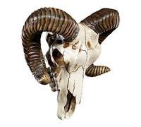 Pacific Giftware Ram Trophée Mural Baphomet Tête de Mort et Cornes 28 cm