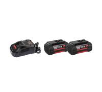 Pack 2 batteries GBA 36V 6 Ah + chargeur GAL 3680 CV BOSCH
