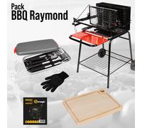 Pack barbecue foyer vertical Raymond