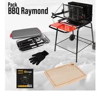 Pack barbecue foyer vertical Raymond