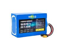 Pack batterie lithium rechargeable 24V pour bateau conception emboîtable | Batterie de rechange 24V 10Ah 12Ah 15Ah 20Ah 25Ah 30Ah pour bateau amorceur télécommandé, avec connecteur DC + XT60
