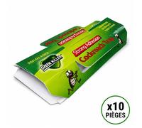 Pack de 10 Pièges à Cafards Collants Non Toxiques 19 x 9 cm - Boîtes Adhésives Prêtes à l'emploi