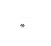 Pack de 25 cartes pliées Pollen 135 x 135 mm Blanc