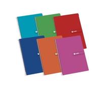 Pack de 5 Cahiers Carrés à Spirale Enri 100430081 A5 4Mm 60Gr 80 Feuilles - 100430081