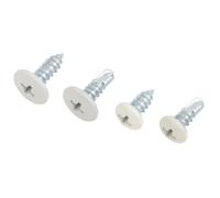 Pack de 900 vis autoperceuses et autotaraudeuses à tête cylindrique blanche PH EasyDrive
