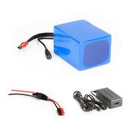 Pack de batteries lithium-ion 12V 20Ah 20A