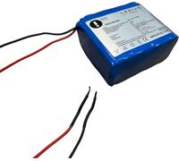 Pack de batteries lithium-ion 24V 3,2Ah 5A cellules Panasonic